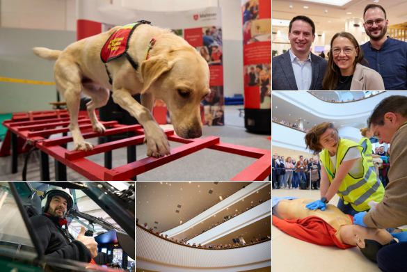 Vorschau der Bildergalerie zum DIVI25