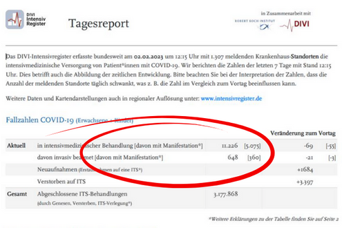 Screenshot Tagesreport Intensivregister mit Markierung für COVID-Manifestation