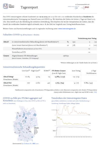 Screenshot Tagesreport Intensivregister