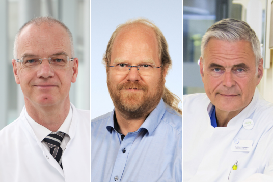 Professor Felix Walcher, Professor Rainer Röhrig und Professor Uwe Janssens