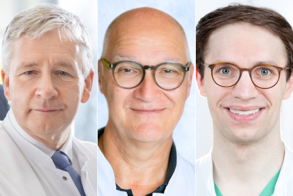 Prof. Gernot Marx, Prof. Stefan Schwab sowie Dr. Matthias Deininger.